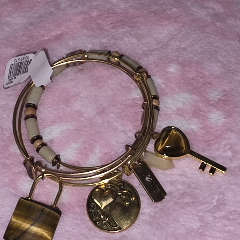 Alex And ANI LOCK AND KEY SET